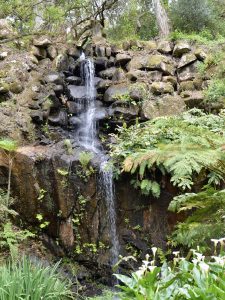モンセラーテの庭園にある小さな滝